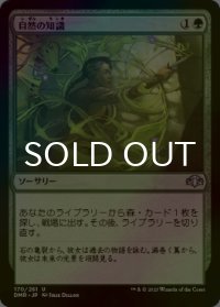 [FOIL] 自然の知識/Nature's Lore 【日本語版】 [DMR-緑U]