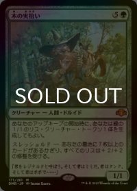 [FOIL] 木の実拾い/Nut Collector (海外産ブースター版) 【日本語版】 [DMR-緑MR]