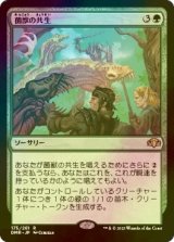 [FOIL] 菌獣の共生/Saproling Symbiosis 【日本語版】 [DMR-緑R]