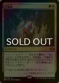 [FOIL] 狩猟場/Hunting Grounds (海外産ブースター版) 【日本語版】 [DMR-金MR]