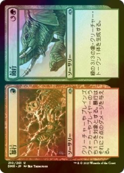 画像1: [FOIL] 暴行 + 殴打/Assault + Battery 【日本語版】 [DMR-金U]