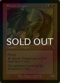 [FOIL] シヴ山のドラゴン/Shivan Dragon (旧枠・海外産ブースター版) 【英語版】 [DMR-赤R]