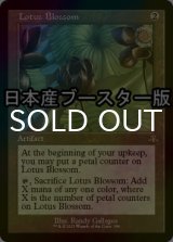[FOIL] 水蓮の花/Lotus Blossom ● (旧枠・日本産ブースター版) 【英語版】 [DMR-灰R]