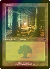 [FOIL] 森/Forest No.410 (旧枠) 【英語版】 [DMR-土地C]