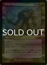 [FOIL] 沼地の王ソルカナー/Sol'kanar the Swamp King (旧枠・海外産ブースター版) 【日本語版】 [DMR-金R]