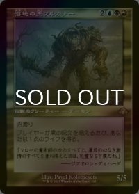 [FOIL] 沼地の王ソルカナー/Sol'kanar the Swamp King (旧枠・海外産ブースター版) 【日本語版】 [DMR-金R]
