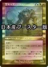 [FOIL] 沼地の王ソルカナー/Sol'kanar the Swamp King ● (旧枠・日本産ブースター版) 【日本語版】 [DMR-金R]