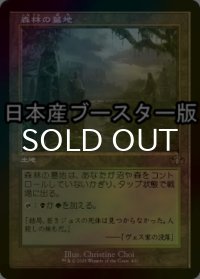 [FOIL] 森林の墓地/Woodland Cemetery ● (旧枠・日本産ブースター版) 【日本語版】 [DMR-土地R]