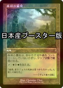 画像1: [FOIL] 森林の墓地/Woodland Cemetery ● (旧枠・日本産ブースター版) 【日本語版】 [DMR-土地R]