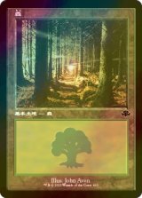 [FOIL] 森/Forest No.410 (旧枠) 【日本語版】 [DMR-土地C]
