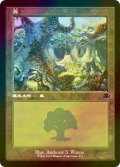 [FOIL] 森/Forest No.411 (旧枠) 【日本語版】 [DMR-土地C]