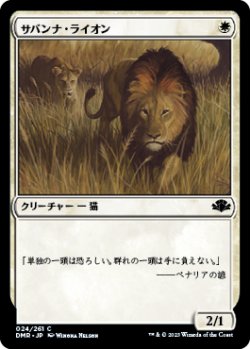 画像1: サバンナ・ライオン/Savannah Lions 【日本語版】 [DMR-白C]