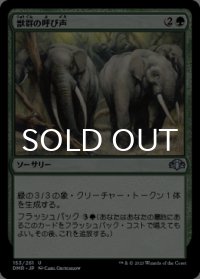 獣群の呼び声/Call of the Herd 【日本語版】 [DMR-緑U]