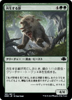 画像1: 共生する獣/Symbiotic Beast 【日本語版】 [DMR-緑C]