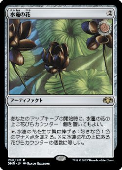 画像1: 水蓮の花/Lotus Blossom 【日本語版】 [DMR-灰R]