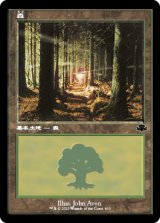 森/Forest No.410 (旧枠) 【日本語版】 [DMR-土地C]
