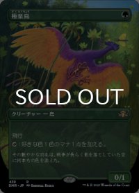 極楽鳥/Birds of Paradise (全面アート版) 【日本語版】 [DMR-緑R]