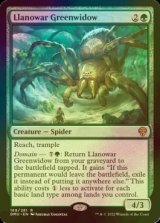 [FOIL] ラノワールの緑後家蜘蛛/Llanowar Greenwidow 【英語版】 [DMU-緑R]