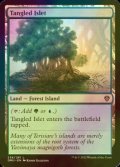 [FOIL] 絡みつく島嶼域/Tangled Islet 【英語版】 [DMU-土地C]