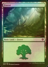 [FOIL] 森/Forest No.276 【英語版】 [DMU-土地C]