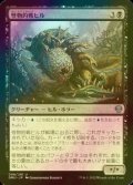 [FOIL] 怪物的戦ヒル/Monstrous War-Leech 【日本語版】 [DMU-黒U]