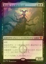 黙示録、シェオルドレッド/Sheoldred, the Apocalypse (DMU/黒MR/日/PWスタンプ入りfoil/NM) ※詳細要確認