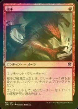 画像1: [FOIL] 槌手/Hammerhand 【日本語版】 [DMU-赤C]