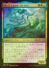 [FOIL] 潮に仕えるもの、タトヨヴァ/Tatyova, Steward of Tides 【日本語版】 [DMU-金U]