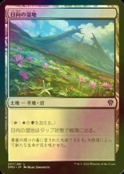 画像1: [FOIL] 日向の湿地/Sunlit Marsh 【日本語版】 [DMU-土地C]