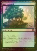 [FOIL] 絡みつく島嶼域/Tangled Islet 【日本語版】 [DMU-土地C]