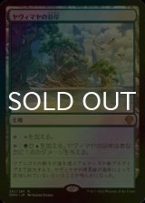 [FOIL] ヤヴィマヤの沿岸/Yavimaya Coast 【日本語版】 [DMU-土地R]