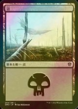 [FOIL] 沼/Swamp No.268 【日本語版】 [DMU-土地C]