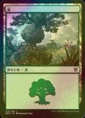 [FOIL] 森/Forest No.275 【日本語版】 [DMU-土地C]