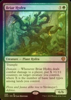 画像1: [FOIL] 茨のハイドラ/Briar Hydra 【英語版】 [DMU-緑R]