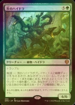 画像1: [FOIL] 茨のハイドラ/Briar Hydra 【日本語版】 [DMU-緑R]