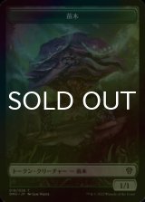 [FOIL] 苗木/SAPROLING 【日本語版】 [DMU-トークン]