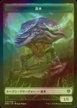 画像1: [FOIL] 苗木/SAPROLING 【日本語版】 [DMU-トークン]