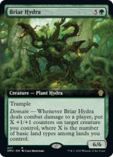 茨のハイドラ/Briar Hydra (拡張アート版) 【英語版】 [DMU-緑R]