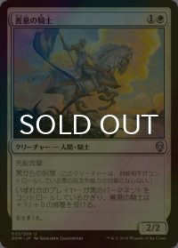 [FOIL] 善意の騎士/Knight of Grace 【日本語版】 [DOM-白U]