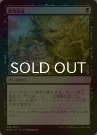 [FOIL] 菌類感染/Fungal Infection 【日本語版】 [DOM-黒C]