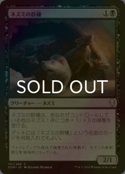 画像1: [FOIL] ネズミの群棲/Rat Colony 【日本語版】 [DOM-黒C]