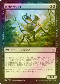 画像1: [FOIL] 雑食のサリッド/Thallid Omnivore 【日本語版】 [DOM-黒C]