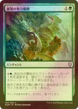 画像1: [FOIL] 菌類の勢力範囲/Fungal Plots 【日本語版】 [DOM-緑U]