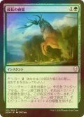 [FOIL] 成長の資質/Gift of Growth 【日本語版】 [DOM-緑C]