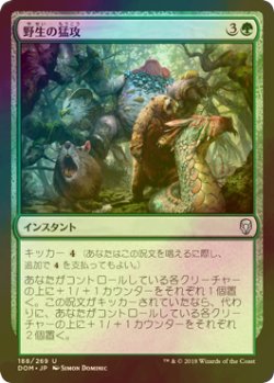 画像1: [FOIL] 野生の猛攻/Wild Onslaught 【日本語版】 [DOM-緑U]