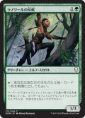 ラノワールの斥候/Llanowar Scout 【日本語版】 [DOM-緑C]