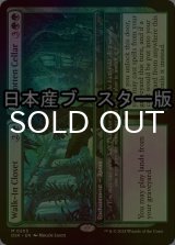 [FOIL] 収納室 + 忘れられた地下室/Walk-In Closet + Forgotten Cellar ● (日本産ブースター版) 【英語版】 [DSK-緑MR]