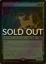 [FOIL] 永劫の活力/Enduring Vitality 【日本語版】 [DSK-緑R]