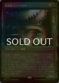 [FOIL] 雑食性ハエトリグサ/Omnivorous Flytrap (ショーケース・海外産ブースター版) 【日本語版】 [DSK-緑R]