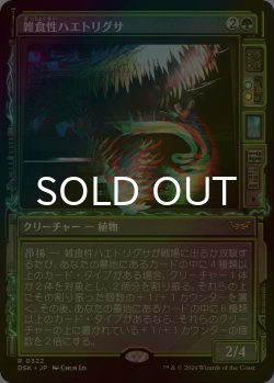 画像1: [FOIL] 雑食性ハエトリグサ/Omnivorous Flytrap (ショーケース・海外産ブースター版) 【日本語版】 [DSK-緑R]